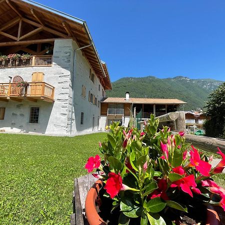 La Lesivera Bed And Breakfast Tione di Trento Buitenkant foto